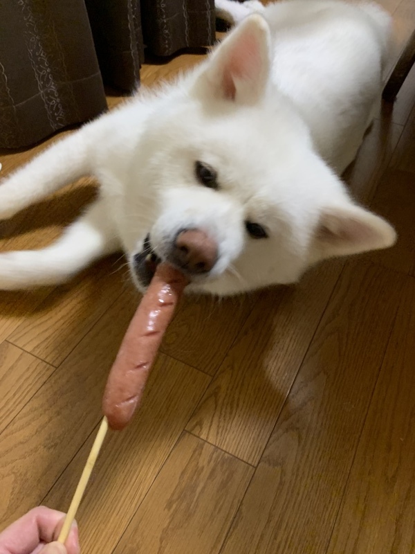 e0364035_20204929.jpeg