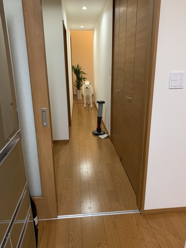 e0364035_20343473.jpeg