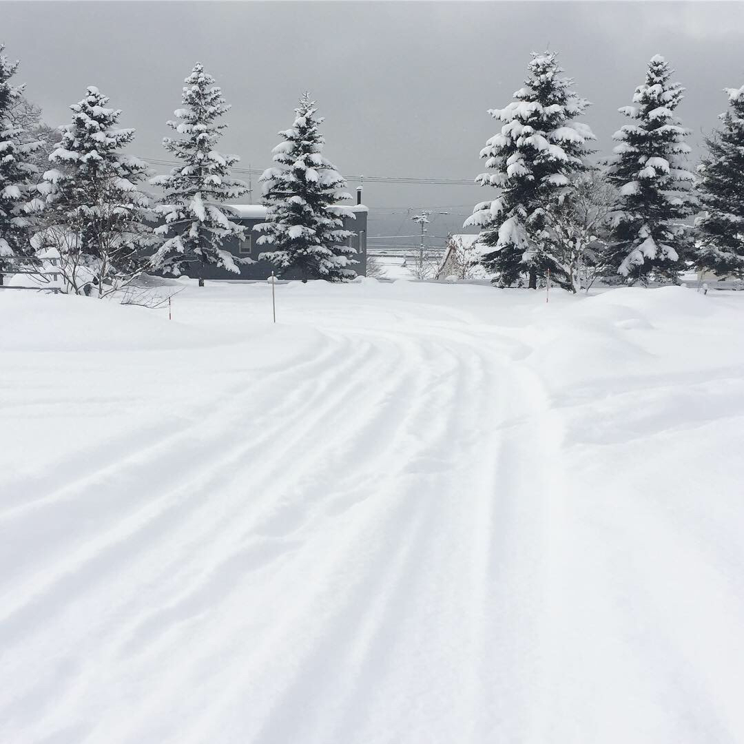 北海道は寒くない！？_a0018237_21292215.jpg