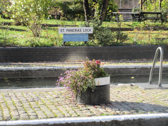 e0038047_22120321.jpg