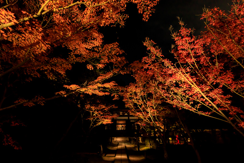 京の紅葉2018　酬恩庵一休寺ライトアップ_f0155048_18232359.jpg