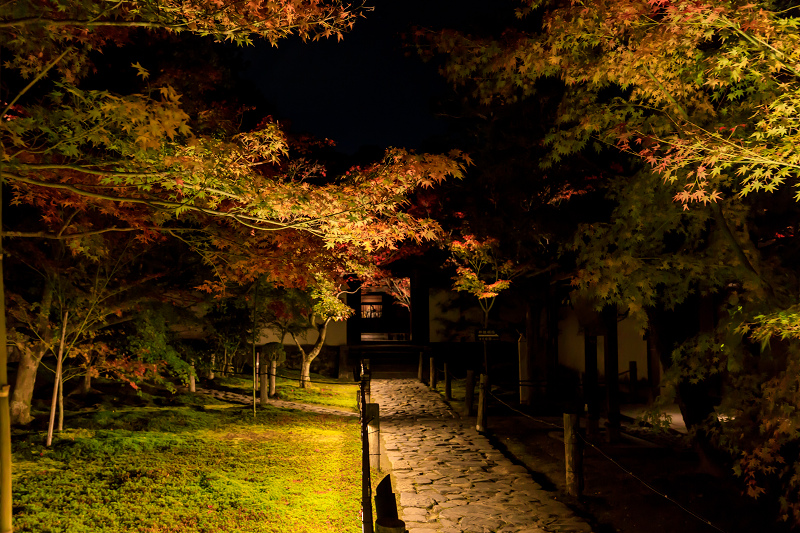 京の紅葉2018　酬恩庵一休寺ライトアップ_f0155048_18282749.jpg