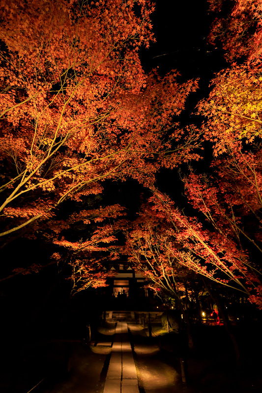 京の紅葉2018　酬恩庵一休寺ライトアップ_f0155048_18333272.jpg