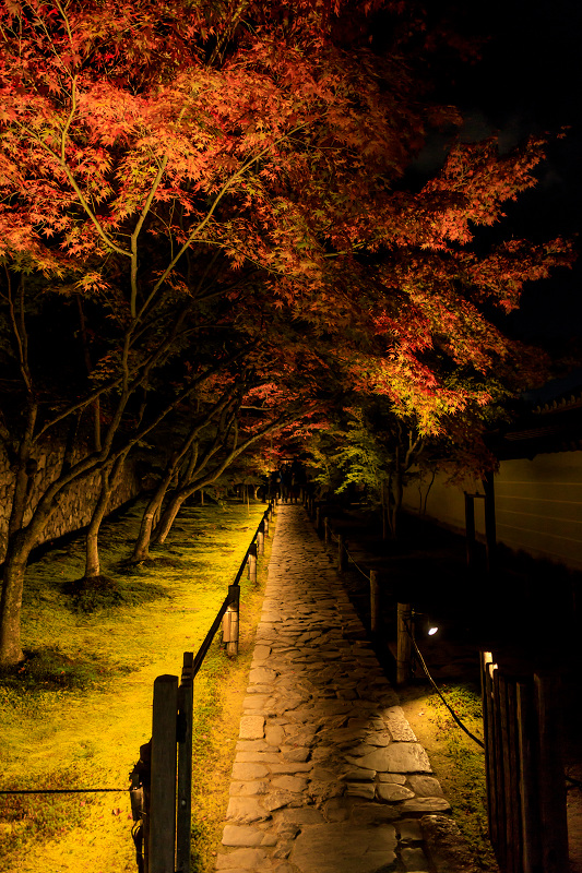 京の紅葉2018　酬恩庵一休寺ライトアップ_f0155048_18355427.jpg