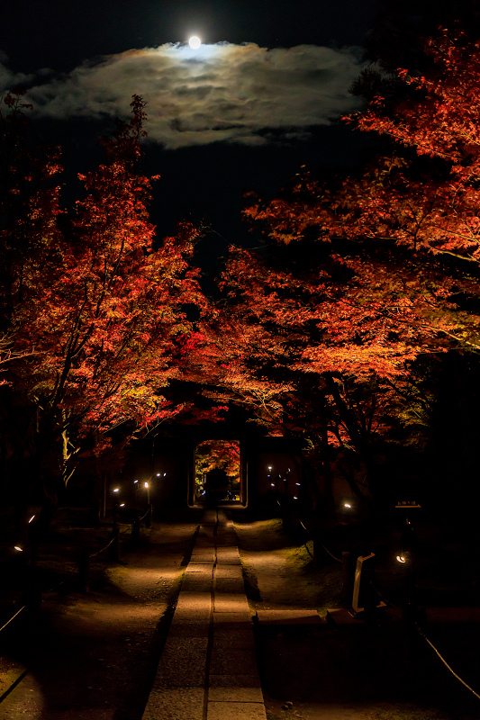 京の紅葉2018　酬恩庵一休寺ライトアップ_f0155048_1835787.jpg