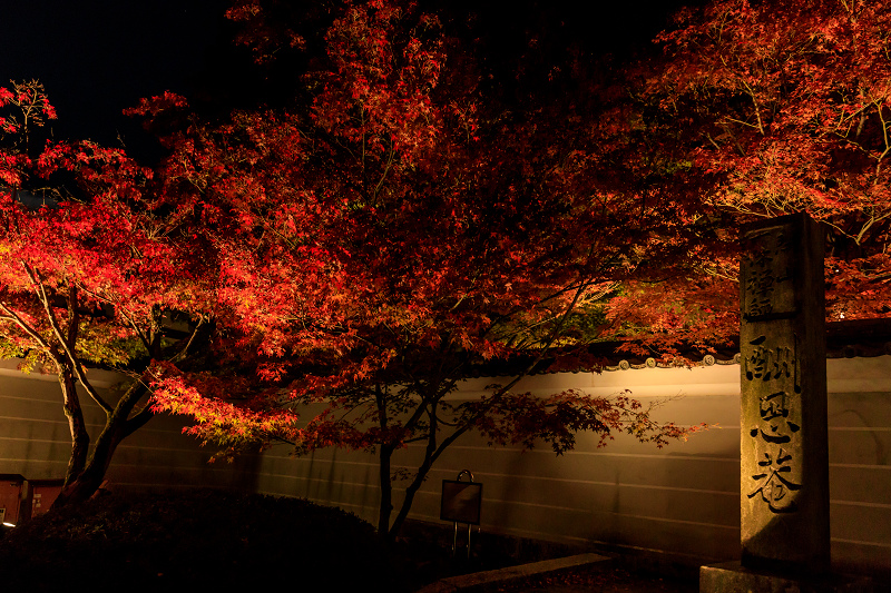 京の紅葉2018　酬恩庵一休寺ライトアップ_f0155048_1836202.jpg