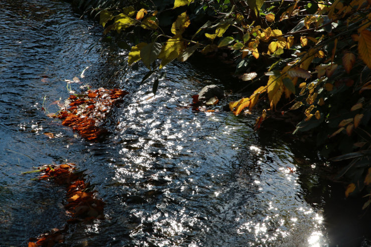a0120949_14130106.jpg