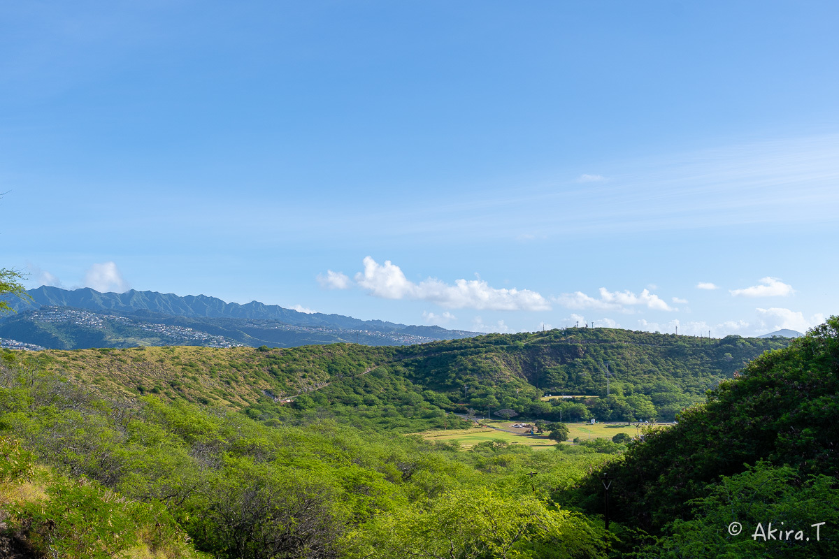 f0152550_16434029.jpg