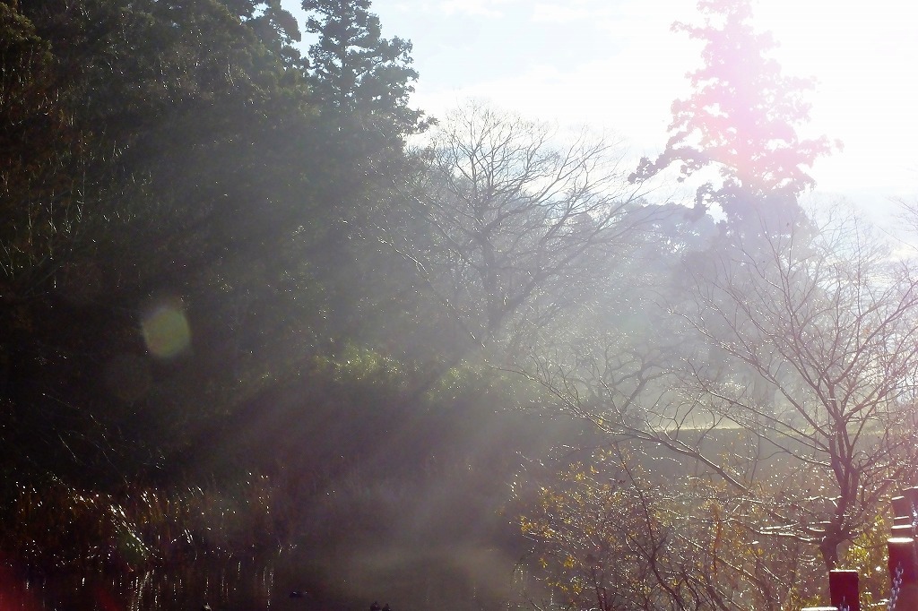 b0236251_11090738.jpg
