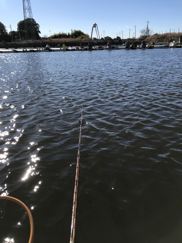 b0381760_19324919.jpeg