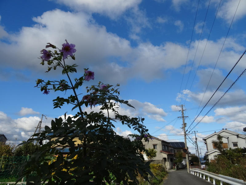 c0108460_13491525.jpg