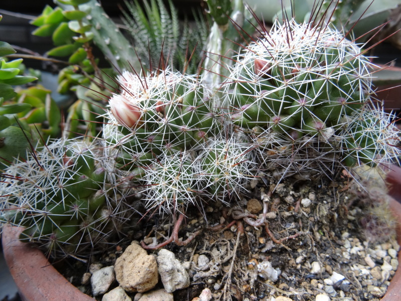 c0108460_13513667.jpg