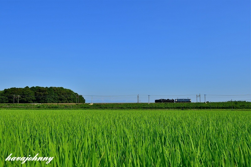 お世話になりました～総集編2018～_c0173762_19415558.jpg