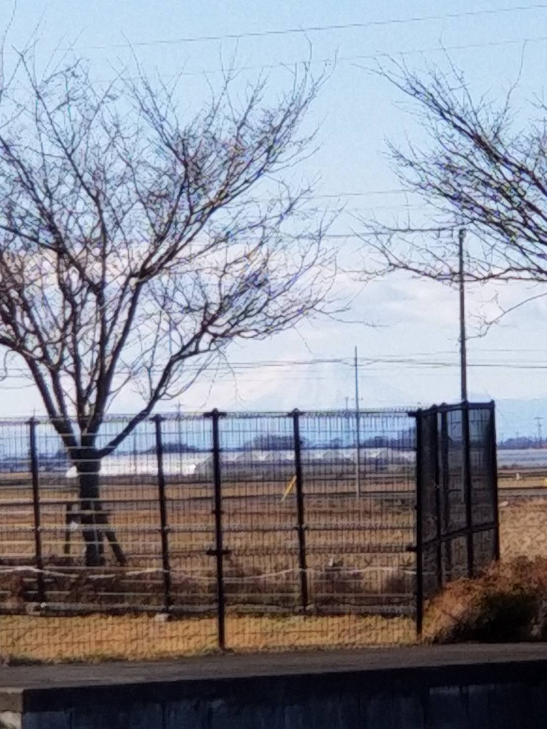 a0053063_12023723.jpeg