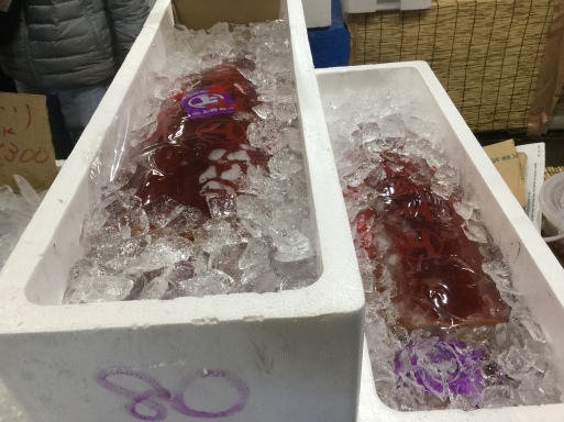 a0053063_14065412.jpeg