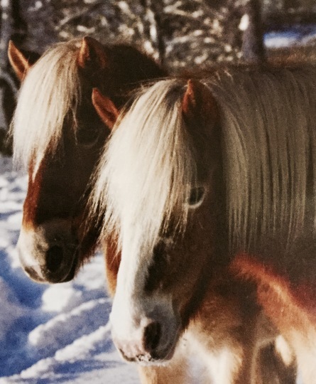 c0250976_17460932.jpg