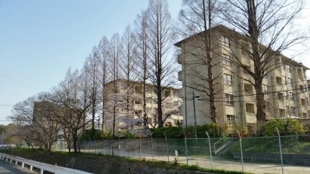 a0066377_23581589.jpg