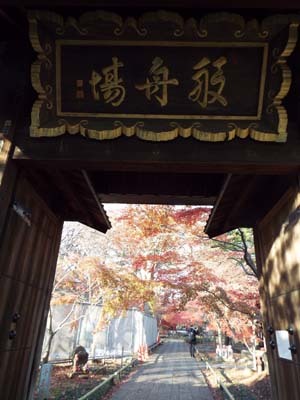 f0211178_16592769.jpg
