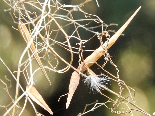 f0378979_16403408.jpg