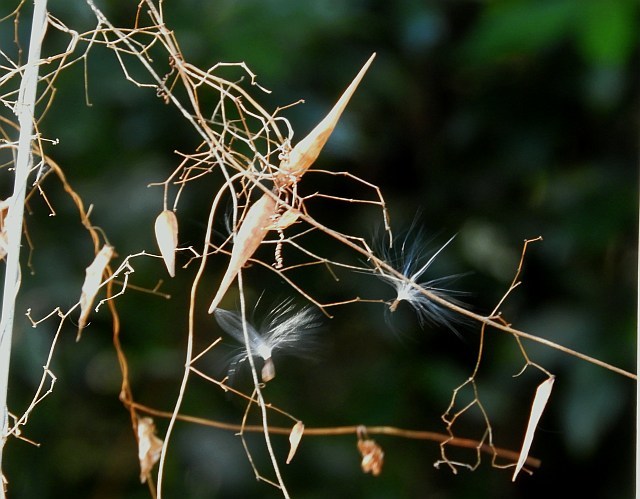 f0378979_16430540.jpg