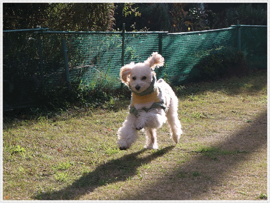 b0175688_00140393.gif