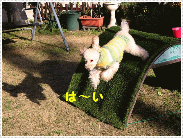 b0175688_00283200.gif