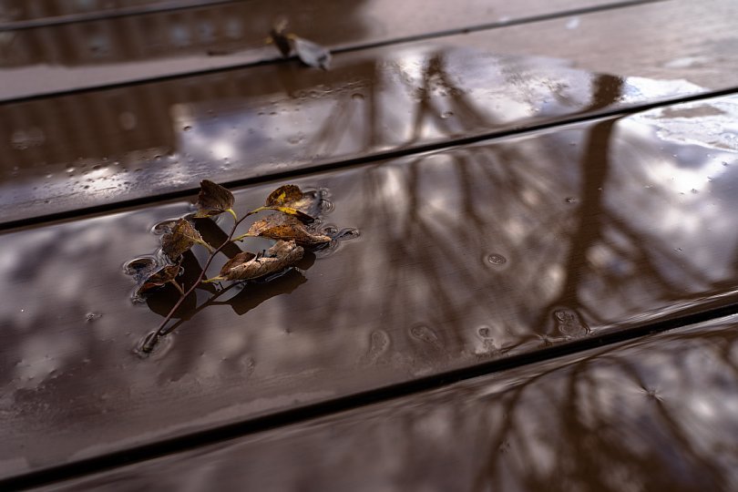 雨が上がった初冬のグローバルゲート_d0353489_17022559.jpg