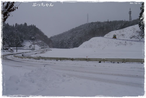 f0353990_18182100.jpg