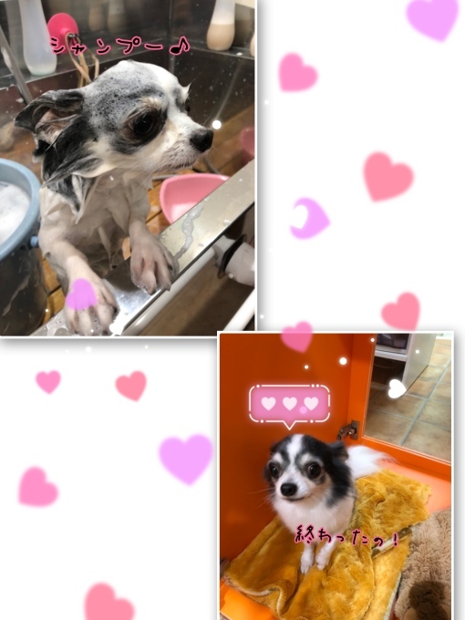 d0269898_23063492.jpeg
