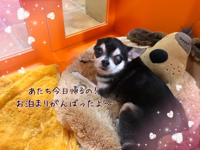 d0269898_23074163.jpeg