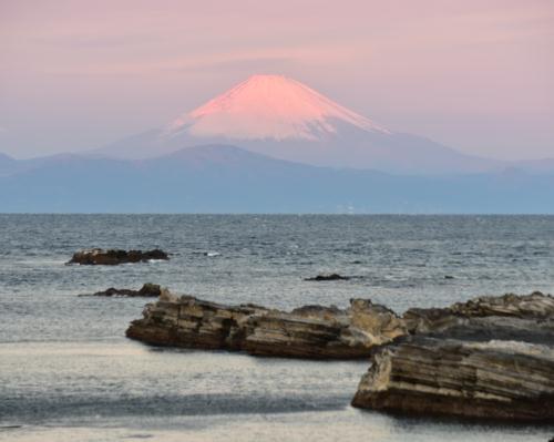 ２０１８年１２月３１日(月)　神奈川県油壺海岸から_f0375202_14204635.jpg