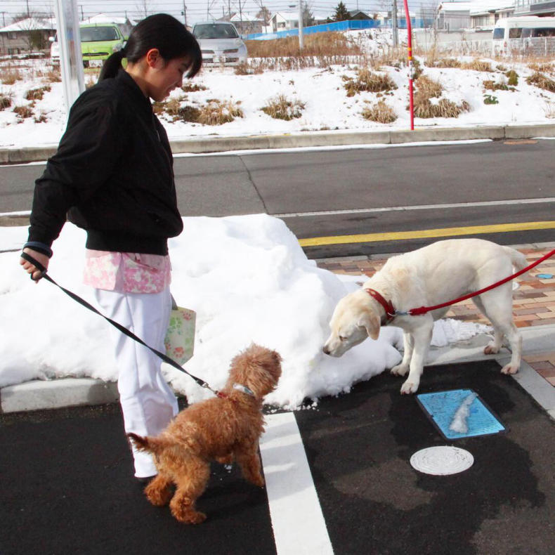 今日は大晦日 18年くさか動物病院最後の診療日 宮城県富谷市明石台 くさか動物病院ブログ