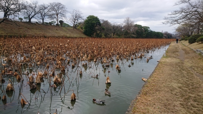 今年もお世話になりました_f0035506_16353844.jpg