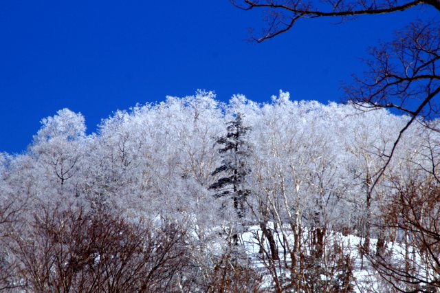 a0345007_11403676.jpg