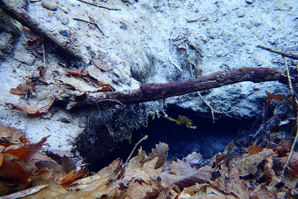 d0051707_14444155.jpg