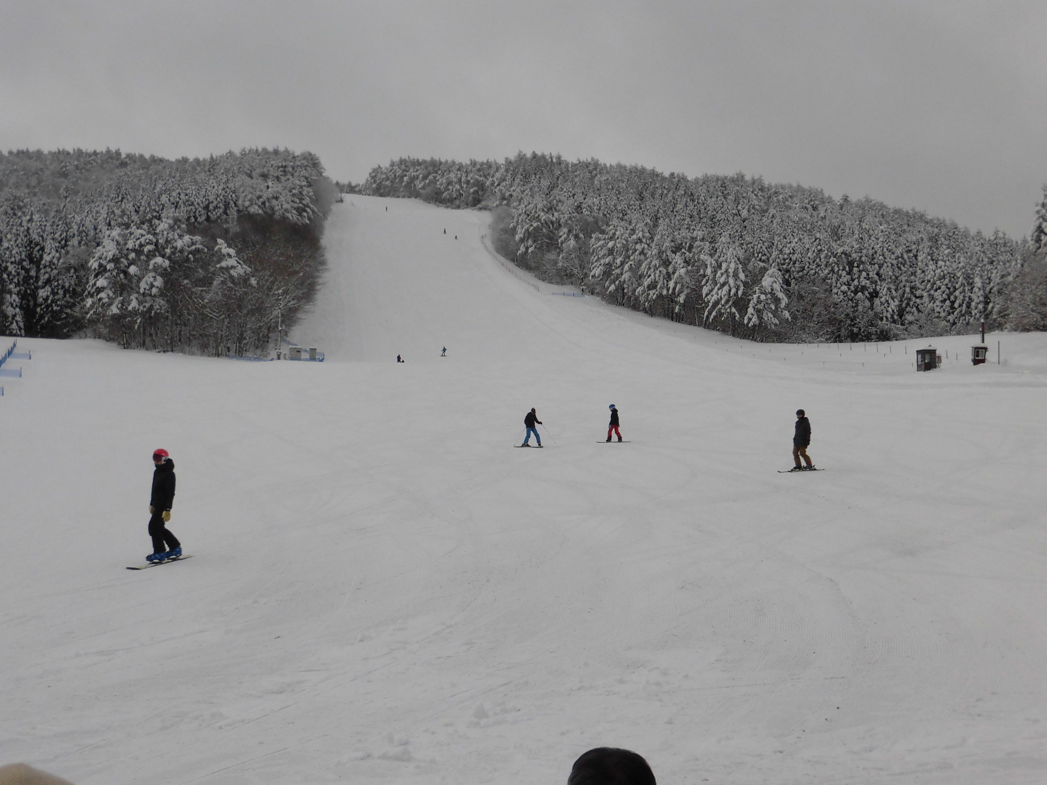 e0306207_10020120.jpg