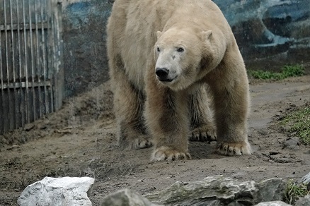 a0151913_10592359.jpg