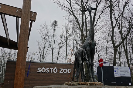ハンガリー北東部、ニーレジハーザのソスト動物園での三頭のホッキョクグマたちとの出会い_a0151913_2444099.jpg