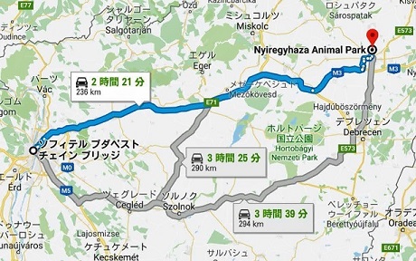 ハンガリー北東部、ニーレジハーザのソスト動物園での三頭のホッキョクグマたちとの出会い_a0151913_6301359.jpg