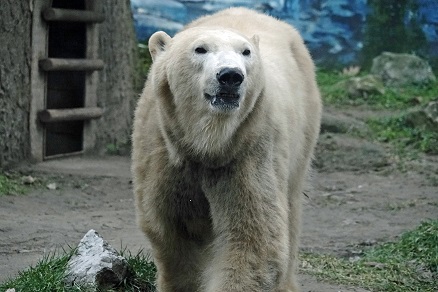 a0151913_774298.jpg