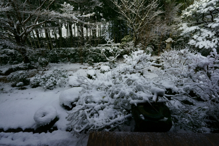 雪の宝泉院_e0177413_17142071.jpg