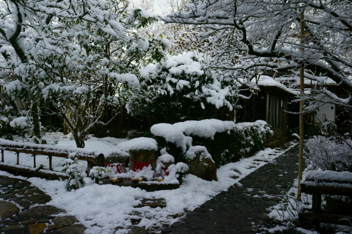 雪の宝泉院_e0177413_17154435.jpg