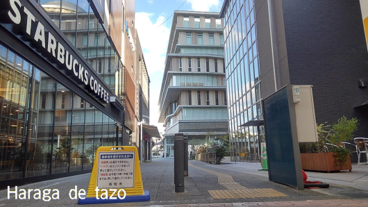 f0155614_20245318.jpg