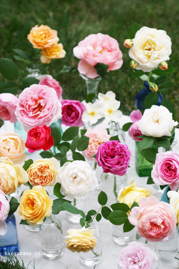 c  h  o  i  c  e_b0081419_12383244.jpg