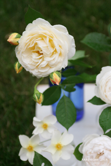 c  h  o  i  c  e_b0081419_12483502.jpg