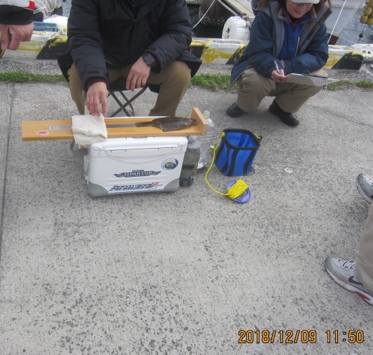 e0117319_18144224.jpg