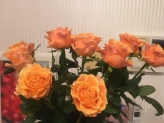 e0131324_00043340.jpg