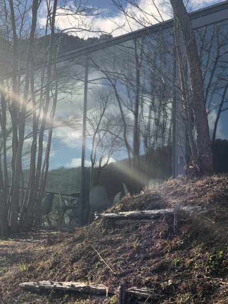 『 よいお年をお迎えください 』_f0085225_21384192.jpg