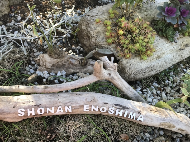 f0338831_22051198.jpeg
