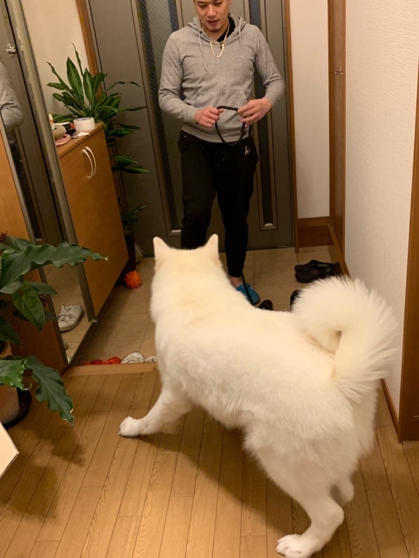 e0364035_15330425.jpeg